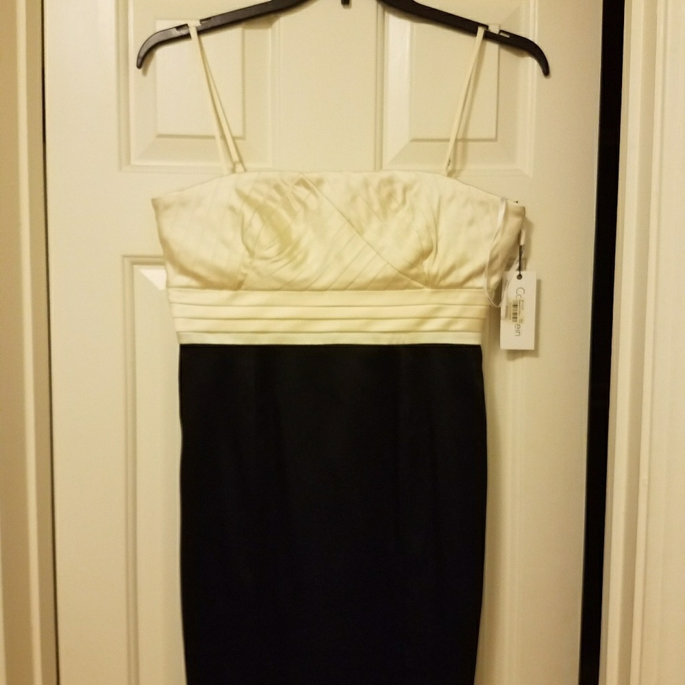Calvin  Klein cocktail dress